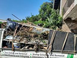  Dutch Island, GA Junk Removal Services Pros